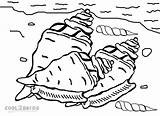 Muschel Ausmalbilder Malvorlagen Muscheln Seashell Cool2bkids Einzigartig Raskraski Ausmalen Disnej sketch template