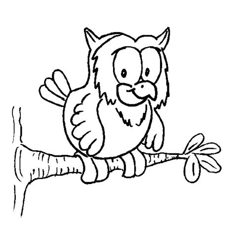 baby owl coloring pages home family style  art ideas