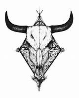 Skull Bull Bullskull Source sketch template