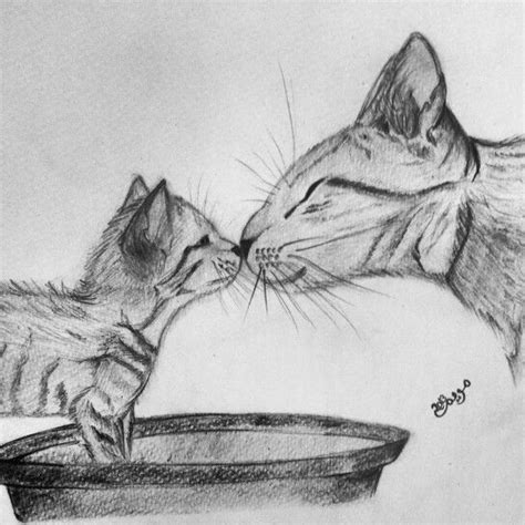cat love sketch sketches  love cat love animal tattoo