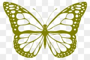 big image monarch butterfly coloring page  transparent png