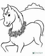 Coloring Horse Printable Pages Below sketch template