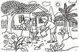 Gardening Garden Coloring Pages Drawing Kids Flower Children Drawings sketch template