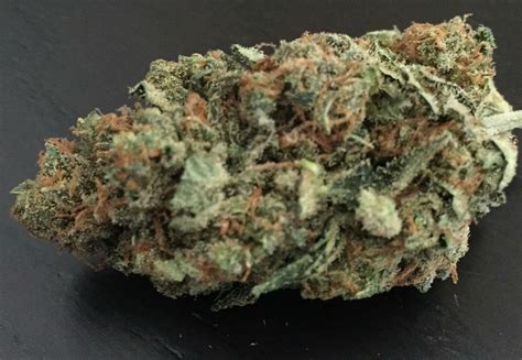 critical mass strain information reviews wheres weed