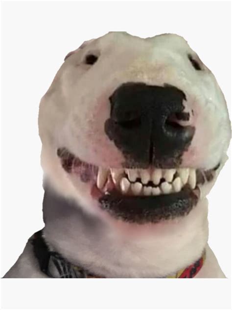 walter smiling meme dog sticker  sale  jeangel redbubble