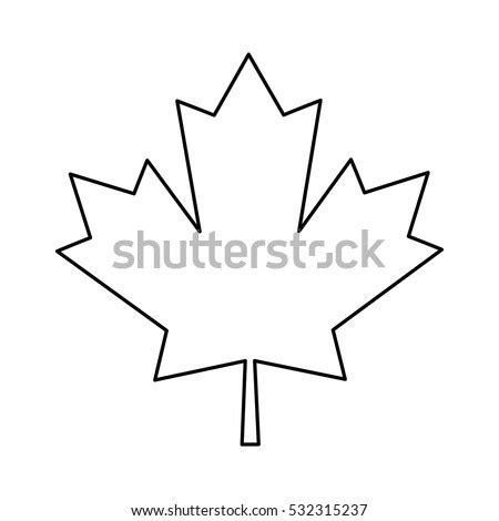 canada maple leaf stock images royalty  images vectors