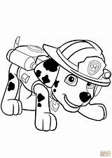 Marshall Patrol Paw Coloring Pages Printable Supercoloring Credit Larger sketch template