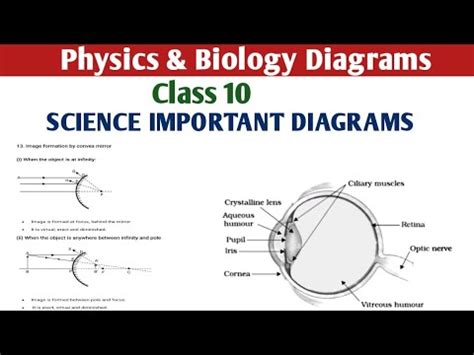 class  science important diagrams class  science diagrams