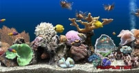 Image result for Vista Screensaver Fish Tank. Size: 202 x 106. Source: readeriop.weebly.com