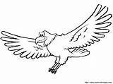 Vultur Eagle Colorat Aquila Aguila Plansa Colorare Felice Falcon Aves Disegno Uccelli Hawk Posto Cambiare Potete Tutto Sara Clopotel sketch template