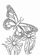 Butterfly Coloring Pages Print Printable Color Flower Copy Kids Flowers Butterflies Sheets Paintable Printables Adult Coloringpagesbymradron Drawing Drawings Adron Mr sketch template