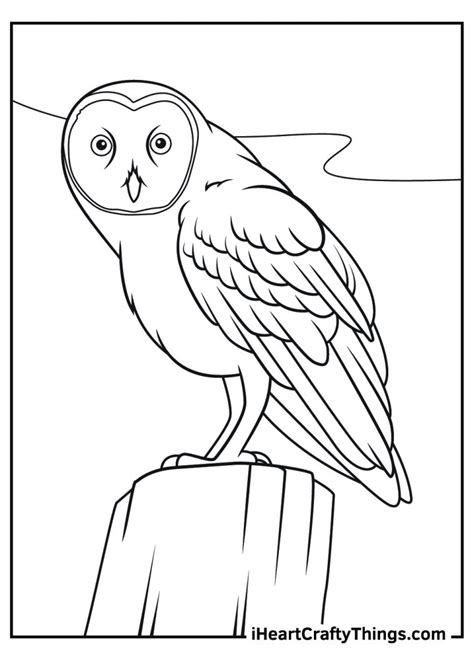 realistic animals coloring pages   printables