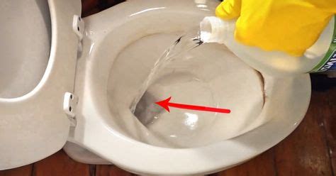 great vinegar hack  clean  stains   toilet bowl