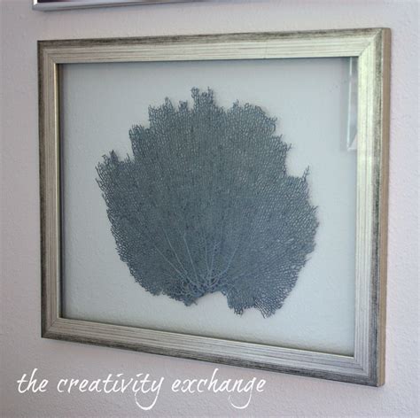 Diy Double Sided Glass Frames For Framing Shells Or Dyed