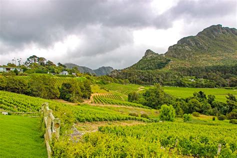 wine farms  constantia  stingy nomads