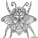 Coloring Beetle Pages Welshpixie Colouring Deviantart Adult Insects Animal Beetles Books Printable Bug Zentangle Book sketch template