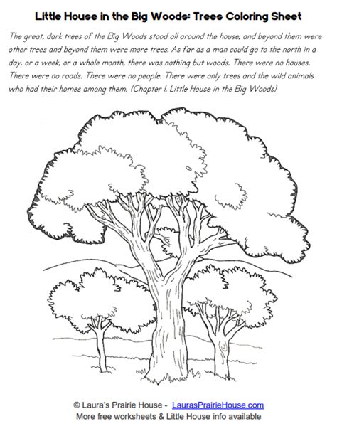 house   big woods trees coloring sheet laura ingalls