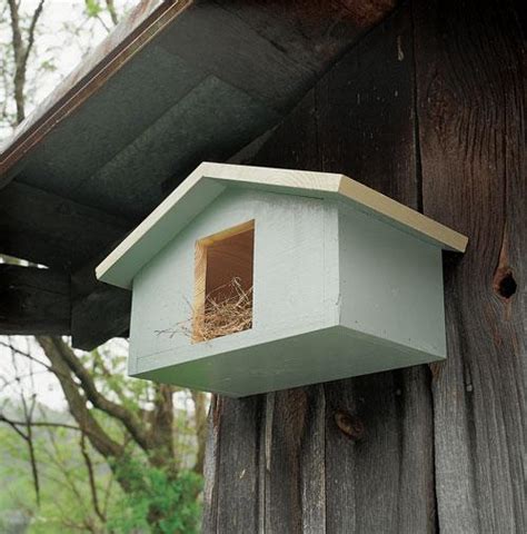 doves  robins mourning dove nestbox outdoor gardening home living jan takayamacom