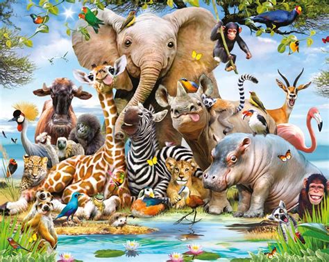 jungle animals wallpapers top  jungle animals