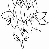 Lotus Flower Coloring Blooming Cute Water sketch template