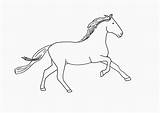 Colorat Horse Planse Cal Desene Cai Running Imagini Animale Cheval Domestice Caballos Calul Caballo 2196 Fise Imaginea Ponei Aripi Cuvinte sketch template