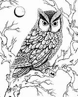 Owl Pages Drawing Night Burning Wood Coloring Drawings Owls Patterns Deviantart Color Screech Great Bezaleel Wisdom Pyrography Sizzling Draw Uploaded sketch template