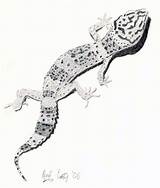 Gecko Coloring sketch template
