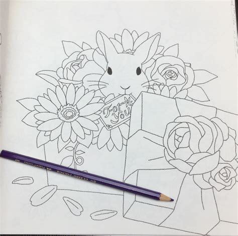 animals   flower time coloring book review coloring queen