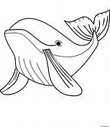 Coloriage Baleine Baleines Colorier sketch template