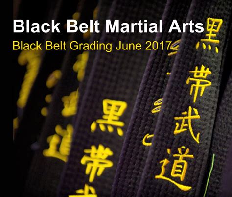 Black Belt Martial Arts By Photography By James Carrett Blurb Books