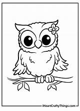 Owls Wise Iheartcraftythings sketch template