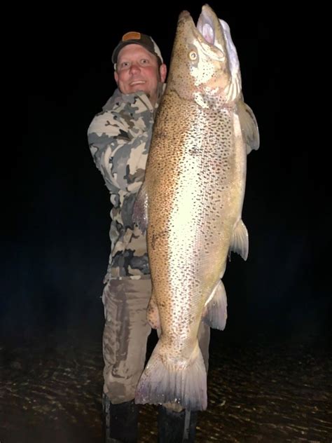 year  montana state record  brown trout broken   lb