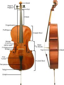 parts   cello private cello lessons