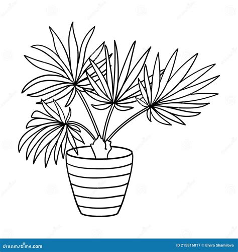 vector potted houseplant coloring page stock vector illustration
