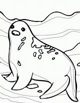 Coloring Tundra Kleurplaat Floe Coloringhome Zeehond Seals Bear Kleurplaten Effortfulg Designlooter Eleanor sketch template