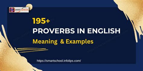perfect proverbs   meaning  english smart school infolips