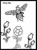 Bee Honey Coloring Pages Kids State Comments Library Clipart Coloringhome Cartoon Carolina North sketch template