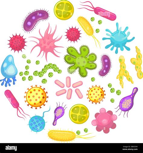 Microorganismo Bacteria Célula Vírica Bacteria De La Enfermedad Y