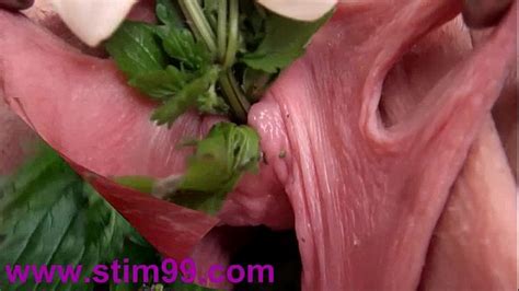 nettles in peehole urethral insertion nettles and fisting