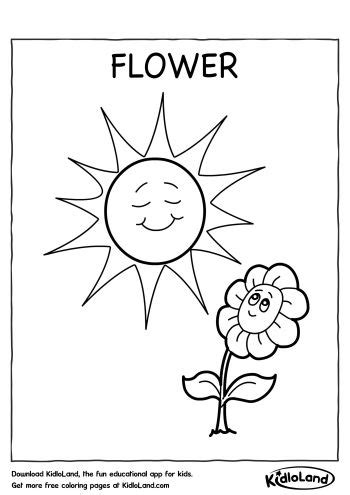 flower coloring page  educational activity worksheets