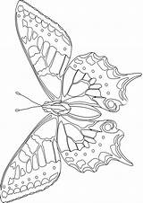 Kolorowania Motyl Druku Motyle Kelebekler Desenler Szukaj Mozaik sketch template