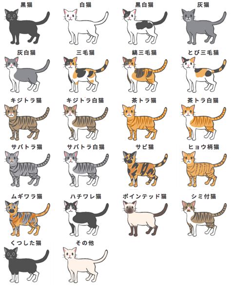 cat colour chart   images nihongogogo
