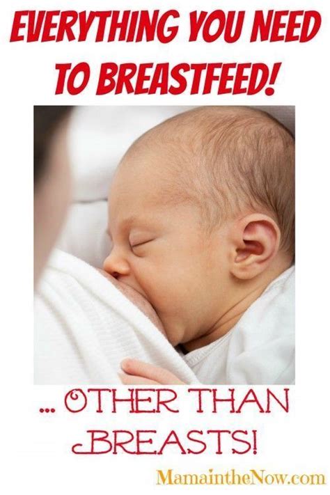 everything you need to breastfeed in addition to breasts breastfeeding breastfeeding tips