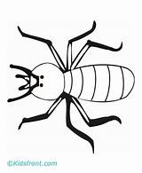 Termite Coloring Pages Kids Printable sketch template