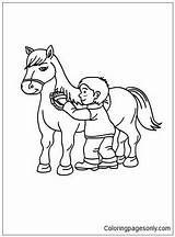 Brushing Horse Boy His Pages Coloring Color Online Coloringpagesonly sketch template