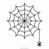 Teia Aranha Spinnennetz Ragnatela Spiderweb Ultracoloringpages sketch template