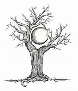 Tree Drawing Moon Drawings Trees Crescent Clipart Pencil Dead Life Line Cliparts Karen Tattoo Sketches Draw Clip Palm Gnarled Star sketch template