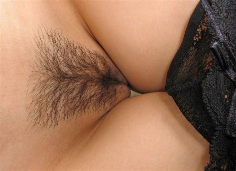 hairy trimmed tubezzz porn photos