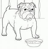 Bulldog Coloring French Pages Jack Puppy Sheets Bulldogs Dog Printable Colouring Drawing Color Bull Russell English Print Dogs Super Line sketch template