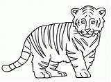Tiger Coloring Outline Baby Drawing Printable Face Clipart Pages Sheet Book Print Pdf Zentangle Getdrawings Popular Library Coloringhome Bengal Connell sketch template